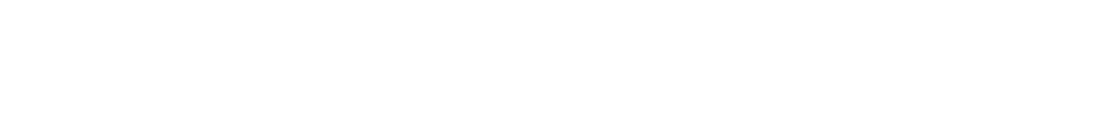 L. Christine Designs